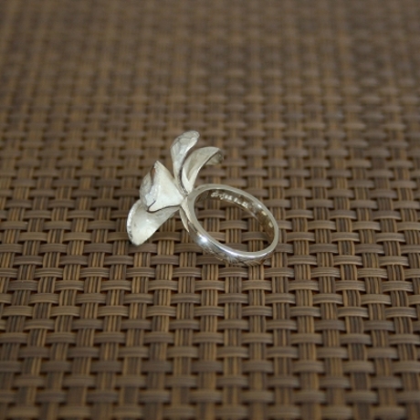 Product_prumeria_ringm2