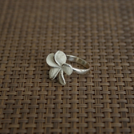 Product_prumeria_rings3