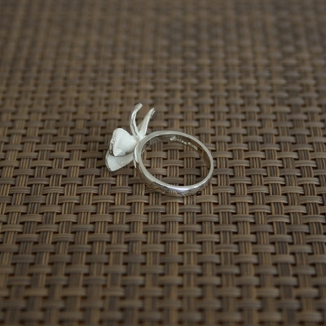 Product_prumeria_rings2